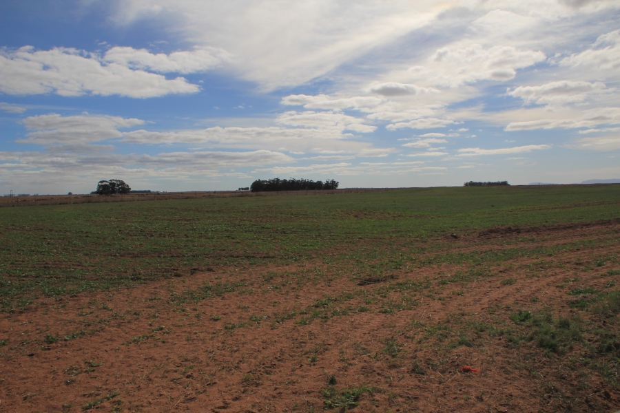 4 Bedroom Property for Sale in Hopefield Rural Western Cape